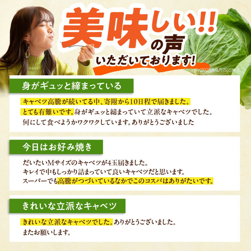 【ふるさと納税】【先行予約】 1位獲得 高評価★4.85 泉州キャベツ 5kg / 10kg / 20kg 射手矢農園 泉佐野市産 訳あり 芯まで甘い キャベツ 新鮮 常備菜 野菜 旬 時期 収穫 サラダ お好み焼き 焼肉 ロールキャベツ 野菜炒め 泉佐野市 送料無料 サムネイル3