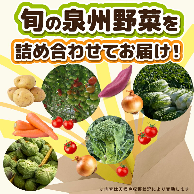 【ふるさと納税】旬のおまかせ 野菜 セット 2〜7種類 国産 新鮮 ミニトマト / キャベツ / 白菜 / サツマイモ / 玉ねぎ / ブロッコリー / 里芋 / じゃがいも 内容 おまかせ 詰め合わせ 旬の味覚 常備野菜 自然の旨み 食品 お取り寄せ 大阪府 泉佐野市 送料無料 - 画像3