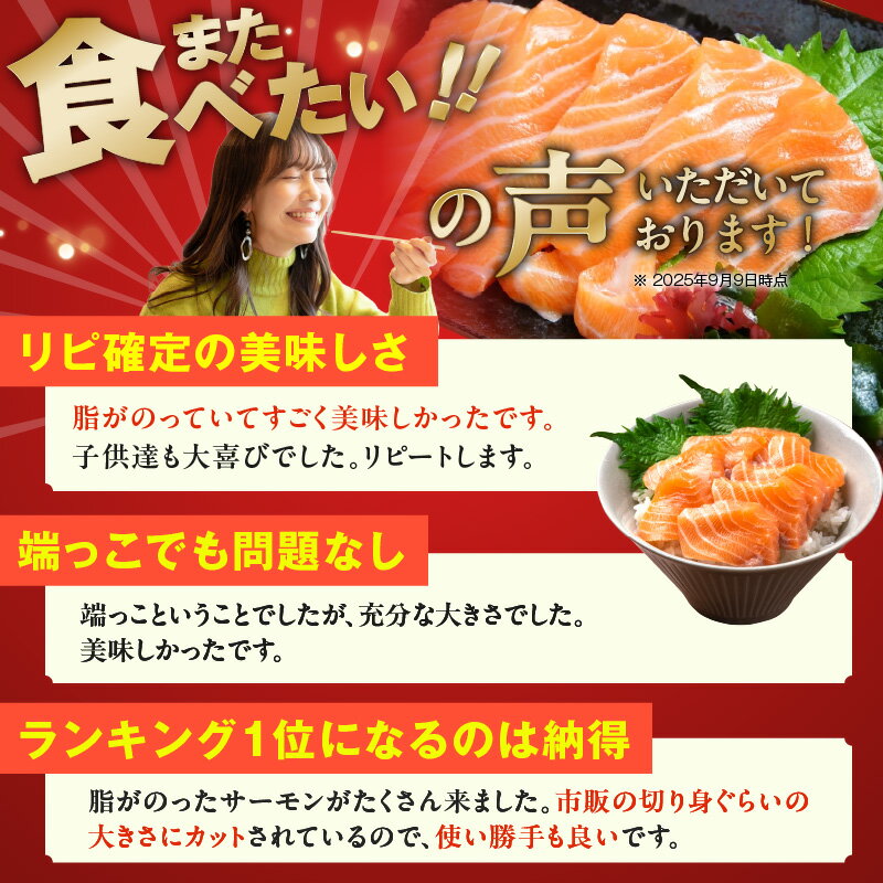【ふるさと納税】総合1位獲得 訳あり アトランティックサーモン はしっこ 小分け 選べる 約500g/ 約1kg サーモン 空飛ぶサーモン ジューシー 脂のり 深いコク 骨取り 魚介 海鮮 魚 鮭 刺身 魚介類 冷凍 お取り寄せ 大阪府 泉佐野市 送料無料 サムネイル3