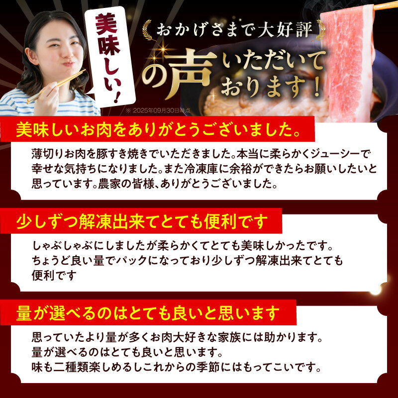 【ふるさと納税】【発送月が選べる】★高評価 国産 豚しゃぶ セット 1.2kg ～ 3kg 豚肉 ももスライス／肩ローススライス 【丸善味わい加工】 【氷温熟成×極味付け】 氷温熟成豚 熟成肉 作り方 ふるさと納税オリジナル 限定 大阪府 泉佐野市 送料無料 肉の泉佐野 肉 普段使い - 画像2