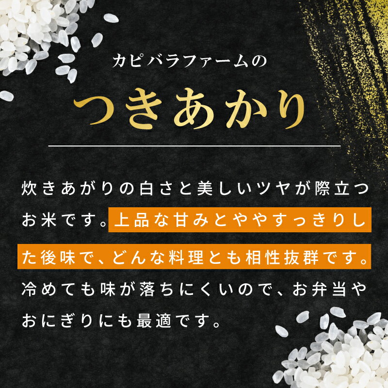 【ふるさと納税】【数量限定】 令和7年産 つきあかり 10kg 5kg×2 泉佐野市産 国産 お米 米 白米 精米 家計応援 冷めても味が落ちにくい お弁当 おにぎり 炊き込みご飯 炒飯 オムライス ドリア リゾット お粥 雑炊 和食 洋食 お取り寄せ 大阪府 泉佐野市 送料無料 - 画像3