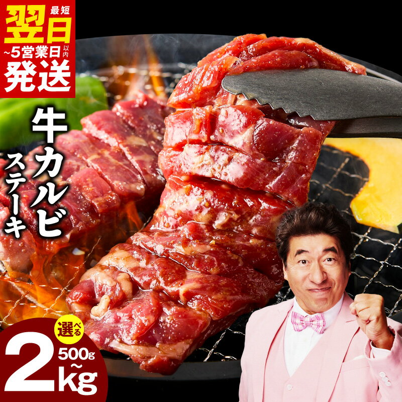最短翌日発送 カルビ ステーキ 選べる 内容量 500g / 1kg / 2kg 焼肉用 赤身 バラ 切り落とし 訳あり サイズ不揃い 牛 味付け 肉 焼肉 小分け 冷凍 特製ダレ 氷温熟成牛 牛肉 熟成肉 発送月 ★高評価 5営業日 泉佐野市 送料無料 肉の泉佐野
