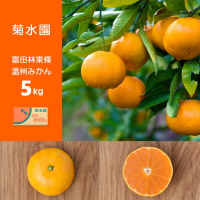 【ふるさと納税】富田林市東條産 温州みかん 甘い美味しいみずみずしいと人気柑橘　5kg/10kgからお選び頂けます。【G1284423】 サムネイル2