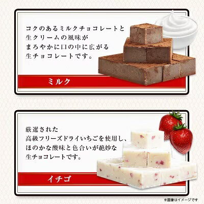 【ふるさと納税】【プロ仕様】生チョコレート詰め合わせ(スイート ミルク イチゴ 抹茶 マンゴー) 5種類×1袋_生チョコ 詰め合わせ スイーツ 美味しい 人気 バラエティ ギフト 【配送不可地域：離島】【1371394】 - 画像3