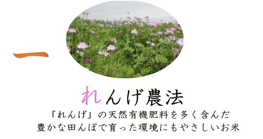 【ふるさと納税】しあわせのれんげっ娘パックごはん 10パック×2｜パックごはん ごはん ご飯 [1197] - 画像2