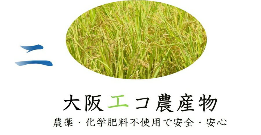 【ふるさと納税】しあわせのれんげっ娘パックごはん 10パック×2｜パックごはん ごはん ご飯 [1197] - 画像3