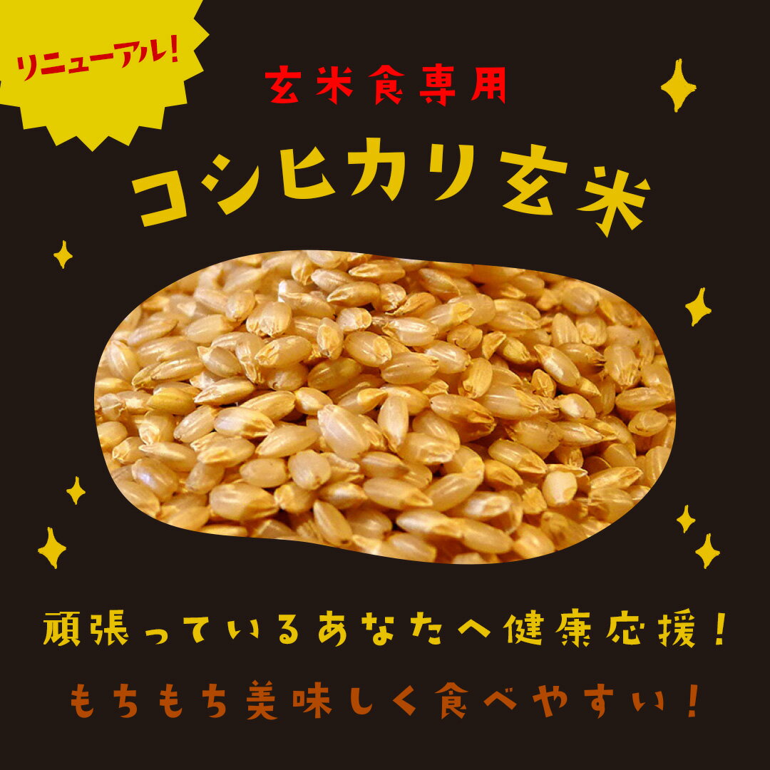 【ふるさと納税】 こしひかり 選べる 回数 玄米ごはんパック 120g 12個-48個 1回-6回 定期便 玄米 米 ごはん ご飯 こめ パックライス パックご飯 パックごはん ご飯パック ごはんパック パック ライス 備蓄 保存 非常 防災 レンジ 温めるだけ 健康 ダイエット 12 24 36 48 サムネイル3