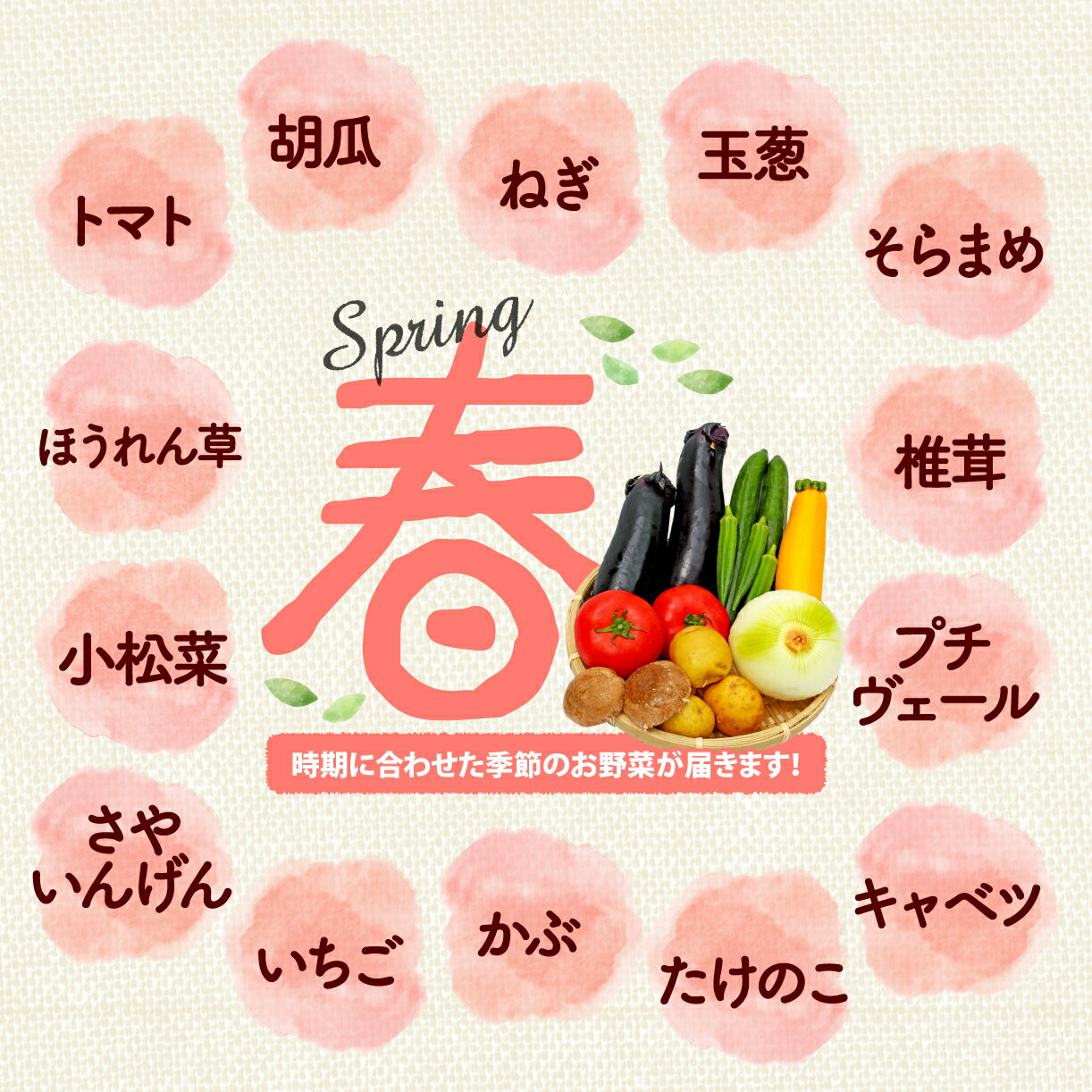 【ふるさと納税】 厳選 選べる 野菜セット 定期便 1~3回 詰め合わせ 一人暮らし 新鮮 こだわり エコ農産物 ほぼ 無農薬 朝採れ 季節野菜 詰め合わせ 健康 ヘルシー 食卓 サラダ フレッシュ 煮物 スープ 安心 安全 国産 野菜ボックス エコ栽培 旬の味 大阪 松原 - 画像2