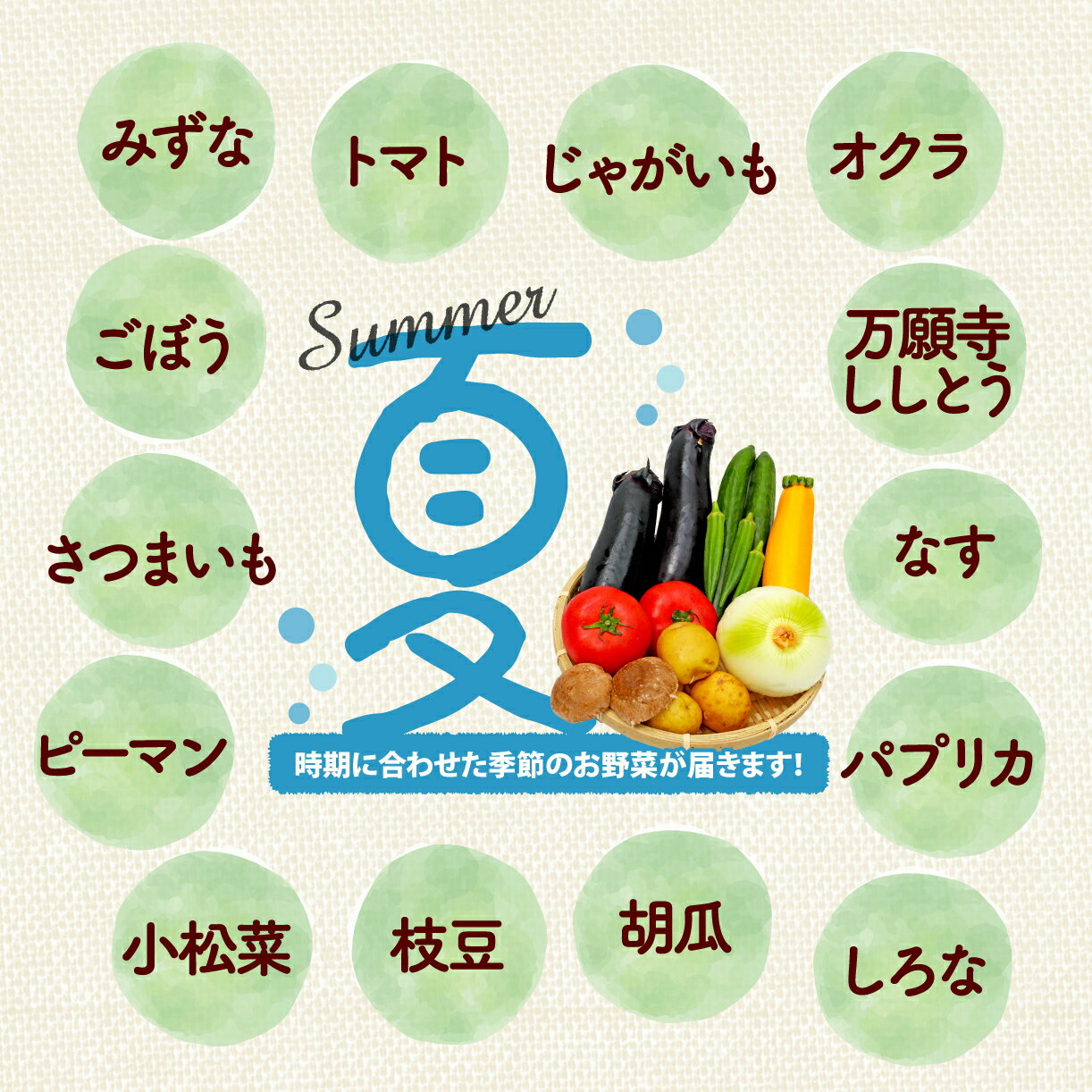 【ふるさと納税】 厳選 選べる 野菜セット 定期便 1~3回 詰め合わせ 一人暮らし 新鮮 こだわり エコ農産物 ほぼ 無農薬 朝採れ 季節野菜 詰め合わせ 健康 ヘルシー 食卓 サラダ フレッシュ 煮物 スープ 安心 安全 国産 野菜ボックス エコ栽培 旬の味 大阪 松原 - 画像3