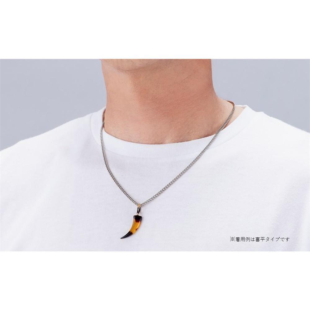 【ふるさと納税】102405-3 純チタン本べっ甲「牙」ペンダント スクリュータイプ | メンズファッション、メンズ小物、ネックレス、ペンダント、贈り物、おすすめ、人気、送料無料 サムネイル2