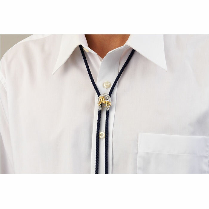 【ふるさと納税】駿馬 ＆ 馬蹄ループタイ | ループタイ メンズ 男性 おしゃれ 馬 蹄鉄 馬蹄 タイ メンズファッション メンズ小物 男性小物 サムネイル2