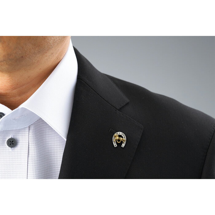 【ふるさと納税】男の煌き 「 駿馬 ＆ 馬蹄 ピンブローチ 」 | メンズ小物 男性 おしゃれ ラベルピン ブローチ 馬 開運 馬蹄 蹄鉄 ファッション サムネイル2