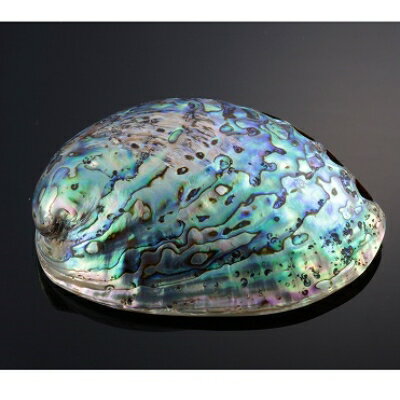 【ふるさと納税】あわび貝の天然石ネックレス_ あわび貝 鮑貝 シェル 螺鈿細工 天然石 グリーンアベンチュリン ガラスビーズ クリスタルガラス ネックレス 大阪府 和泉市 送料無料 【配送不可地域：沖縄県】【1215007】 - 画像3