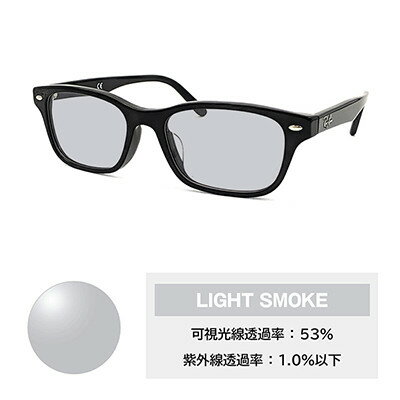 【ふるさと納税】レイバンフレーム ライトカラーレンズセット(ライトスモーク) RX5345D 2000【1464219】 サムネイル2