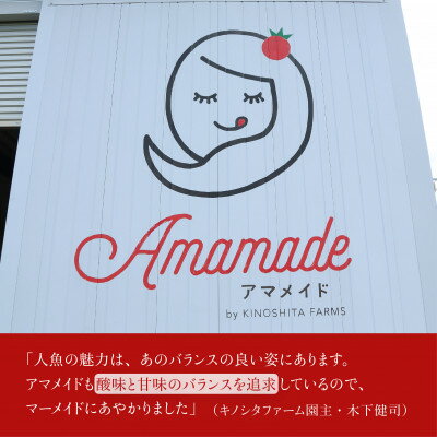【ふるさと納税】【1kg】ミニトマト 糖度8以上 アマメイド 　リピーター続出の人気野菜_ トマト ミニトマト アマメイド 野菜 やさい 人気 おすすめ 送料無料 ブランド バッグ栽培 【1502576】 サムネイル3