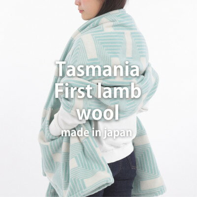 【ポケット付】洗えるタスマニアラムウール混大判ストール 70×180cm グリーン OTW-7018【1555557】