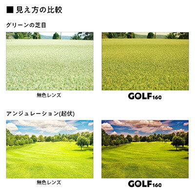 【ふるさと納税】レイバンフレーム ゴルフレンズ サングラスセット RX5344D 2000【1563630】 サムネイル3