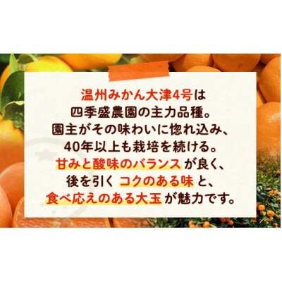 【ふるさと納税】四季盛農園の本貯蔵 蔵出しみかん5Kg　【1月中旬頃から順次発送】【1581525】 サムネイル2