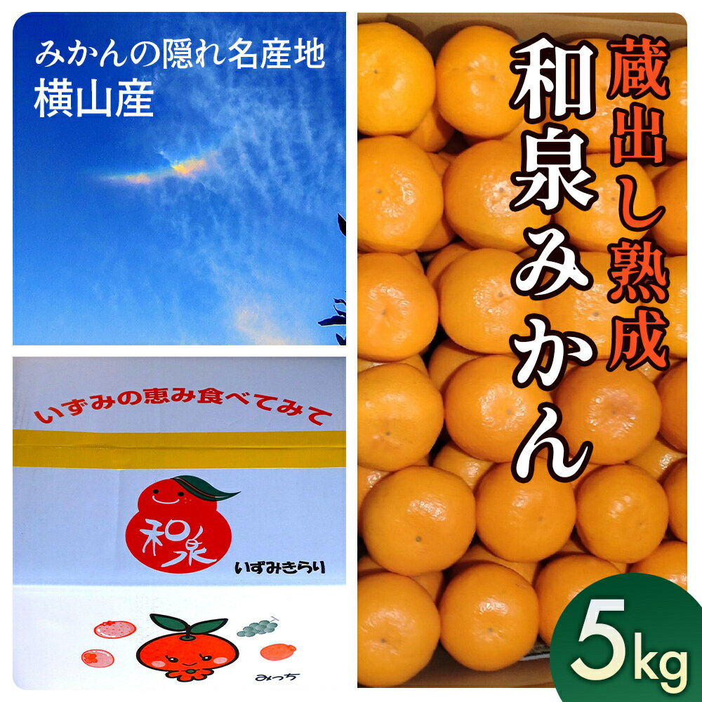 隠れ名産地　蔵出し熟成和泉みかん(中玉・大玉サイズミックス)5kg【1499001】