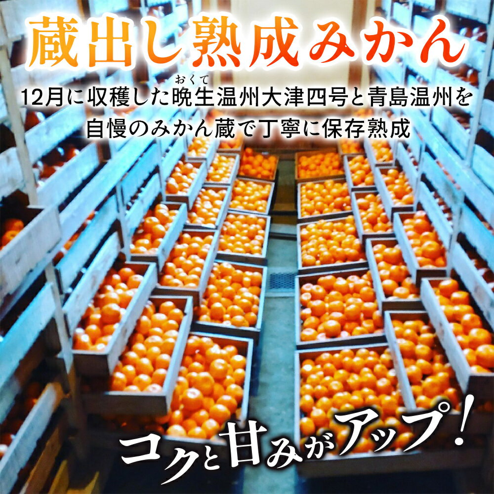 【ふるさと納税】隠れ名産地　蔵出し熟成和泉みかん(中玉・大玉サイズミックス)5kg【1499001】 サムネイル2