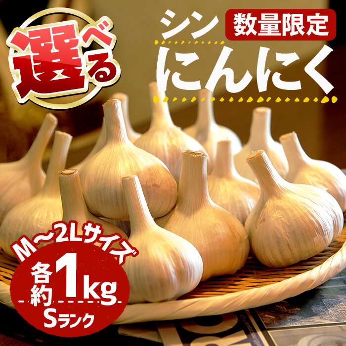 ＜7月上旬～9月中旬発送予定＞＜選べる・数量限定＞シン・にんにく(Sランク・M～2Lサイズ各約1kg) 国産 大阪 箕面 シンニンニク 乾燥ニンニク ガーリック 常温 野菜 香味野菜 料理 新登場 【m102-01】【トラキチ】