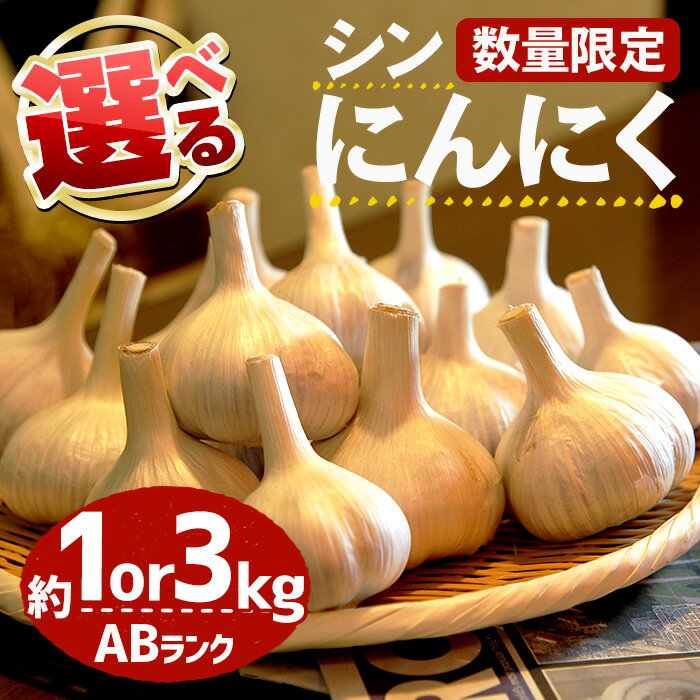 ＜7月上旬～9月中旬発送予定＞＜選べる・数量限定＞シン・にんにく(ABランク・約1kg/3kg) 国産 大阪 箕面 シンニンニク 乾燥ニンニク ガーリック 常温 野菜 香味野菜 料理 新登場 【m102-04】【トラキチ】