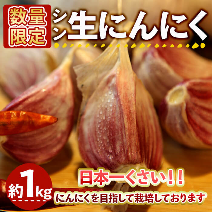 ＜5月中旬～6月上旬発送予定＞＜数量限定＞シン・にんにく 生ニンニク(約1kg) 国産 大阪 箕面 シンニンニク 生にんにく ガーリック 採れたて 新鮮 幻 野菜 香味野菜 料理 新登場 【m102-07】【トラキチ】