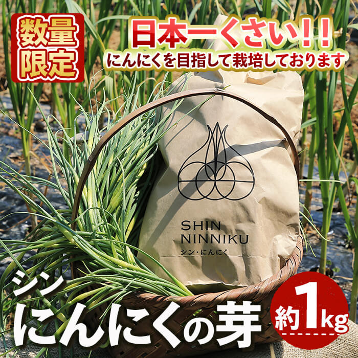 ＜4月中旬～5月上旬発送予定＞＜数量限定＞シン・にんにく にんにくの芽(約1kg) 国産 大阪 箕面 シンニンニク 芽 ガーリック 野菜 新鮮 香味野菜 料理 新登場 【m102-08】【トラキチ】