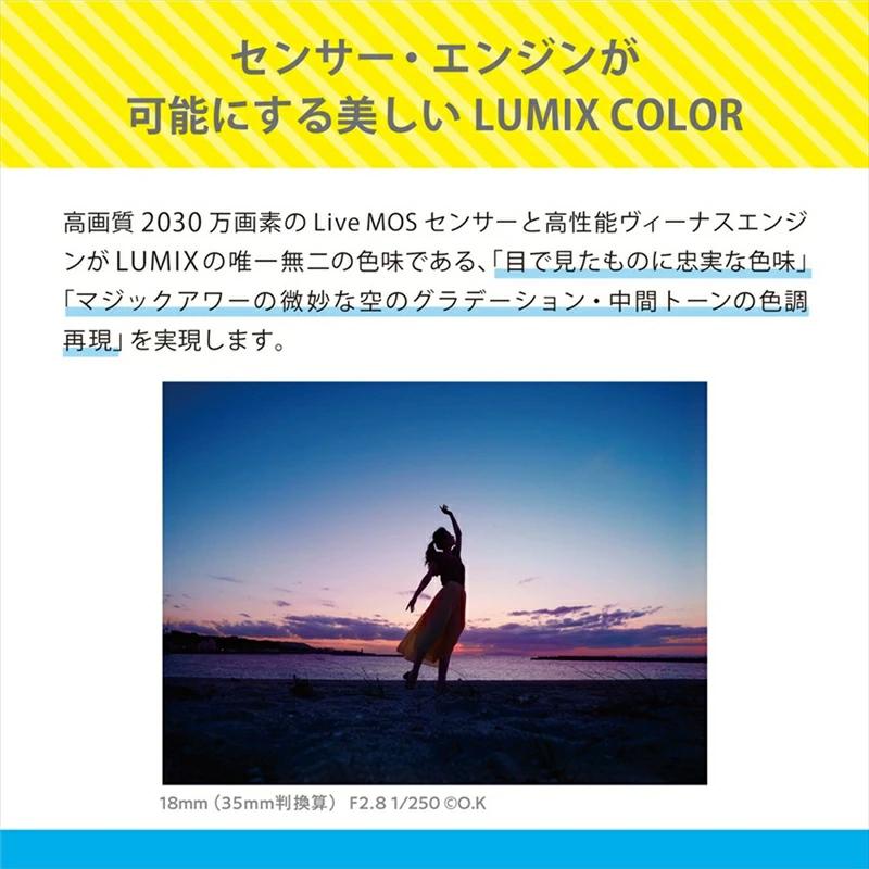 【ふるさと納税】パナソニック デジタル一眼カメラ ルミックス　DC-G100DK【 電化製品 生活家電 カメラ デジタルカメラ 一眼レフ 人気 おすすめ 送料無料 大阪府 門真市 】 サムネイル3