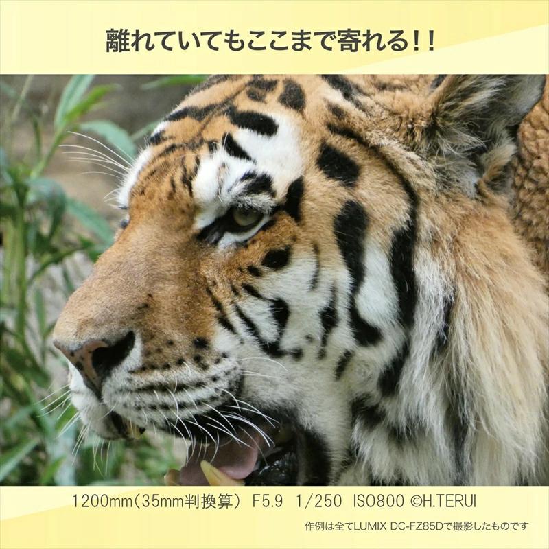 【ふるさと納税】パナソニック コンパクトデジタルカメラ ルミックス　DC-FZ85D【 電化製品 生活家電 カメラ デジタルカメラ 一眼レフ 人気 おすすめ 送料無料 大阪府 門真市 】 サムネイル3