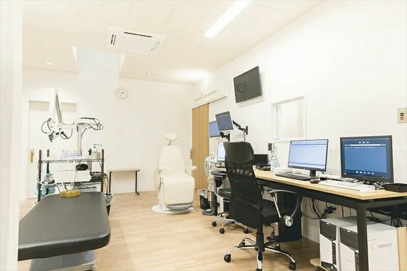 【ふるさと納税】【耳鼻科ドック】VIPプラン　耳健診・鼻健診両方＋精密検査を1つお選びいただけます【 ギフト プレゼント 母の日 父の日 お誕生日 大阪府 門真市 】 - 画像2