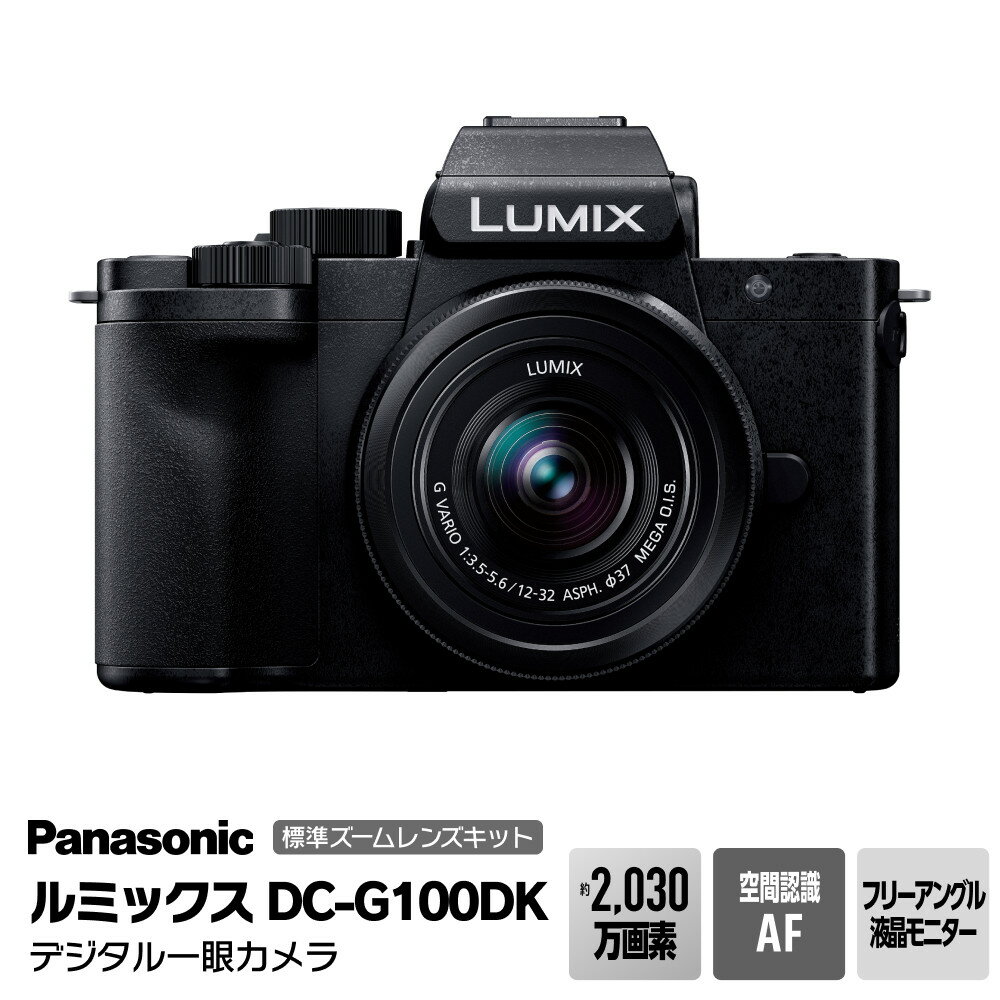 パナソニック デジタル一眼カメラ ルミックス　DC-G100DK【 電化製品 生活家電 カメラ デジタルカメラ 一眼レフ 人気 おすすめ 送料無料 大阪府 門真市 】