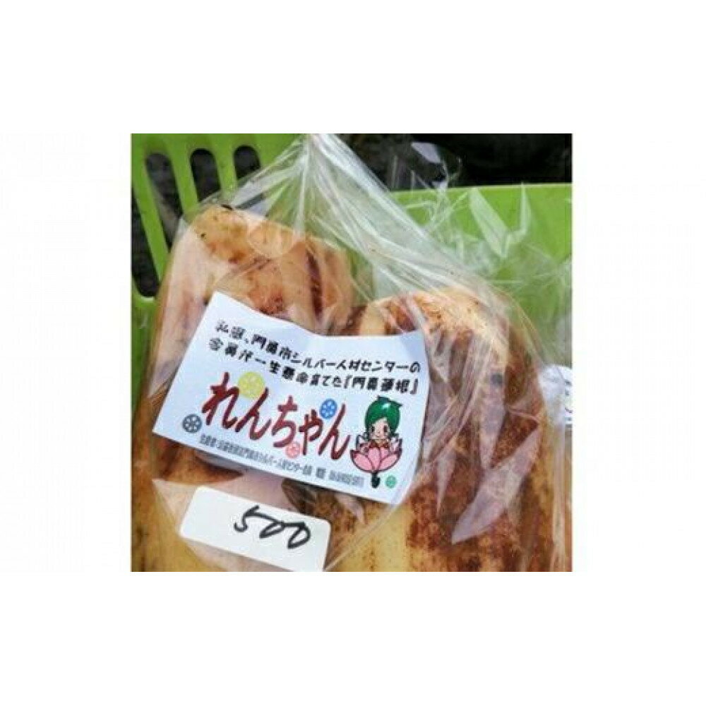 【ふるさと納税】門真れんこん『れんちゃん』2.0kg【門真れんこん　れんこん　もっちりとした食感　河内レンコン　幻のレンコン　甘みが強い 鉄分を多く含む粘土質の土壌 大阪府 門真市 】 - 画像3