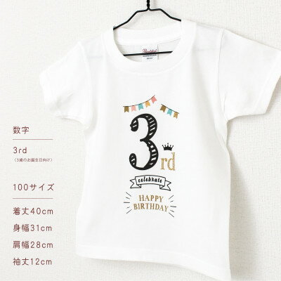 【ふるさと納税】バースデー01 Tシャツ キッズ ベビー 3歳のお誕生日向け 100サイズ【1653037】 サムネイル2