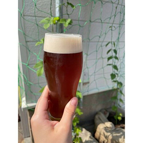 【ふるさと納税】No.172 河内乃えーる　4本セット ／ 酒 クラフトビール 飲み比べ 送料無料 大阪府 サムネイル3