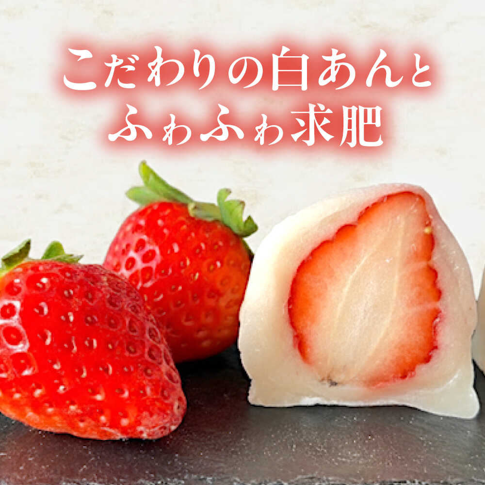 【ふるさと納税】大福 季節のふるーつ大福 6個 / お菓子 菓子 和菓子 生菓子 スイーツ デザート 大福 いちご大福 苺大福 イチゴ大福 フルーツ 果物 苺 イチゴ いちご オレンジ ぶどう マスカット 桃 キウイ メロン マンゴー / 大阪府藤井寺市/御菓子司吉乃屋[BLAQ002] - 画像3
