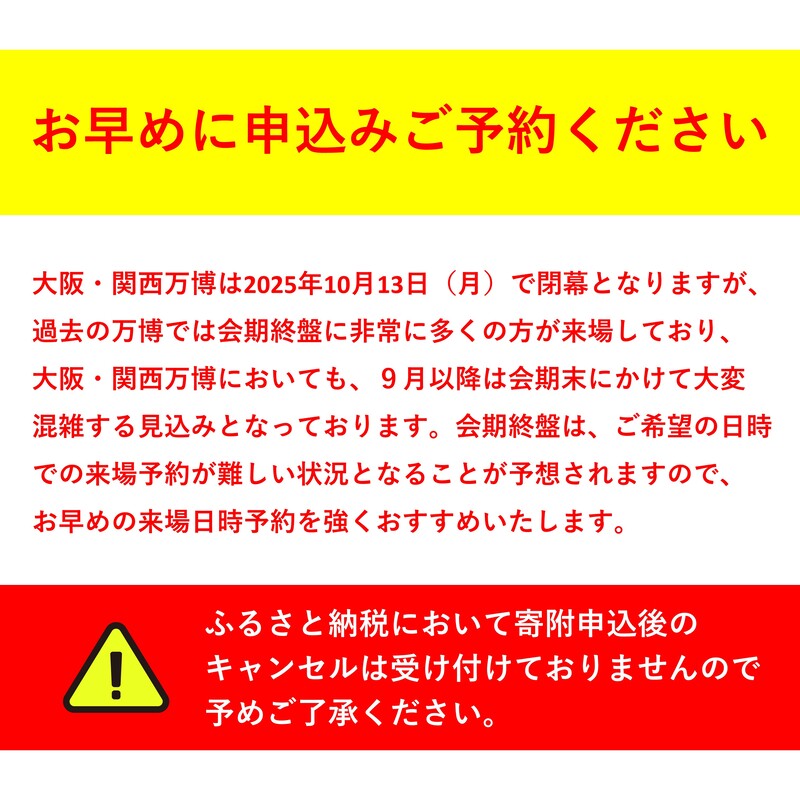 【ふるさと納税】【9月11日まで！】大阪・関西万博入場チケット　夜間券（中人）【 2025年日本国際博覧会 Expo 2025 Osaka 大阪 万博 夢洲 ミャクミャク 大阪・関西万博 入場券 パビリオン 観光 世界文化 未来社会 前売り券 大阪万博 】 サムネイル2