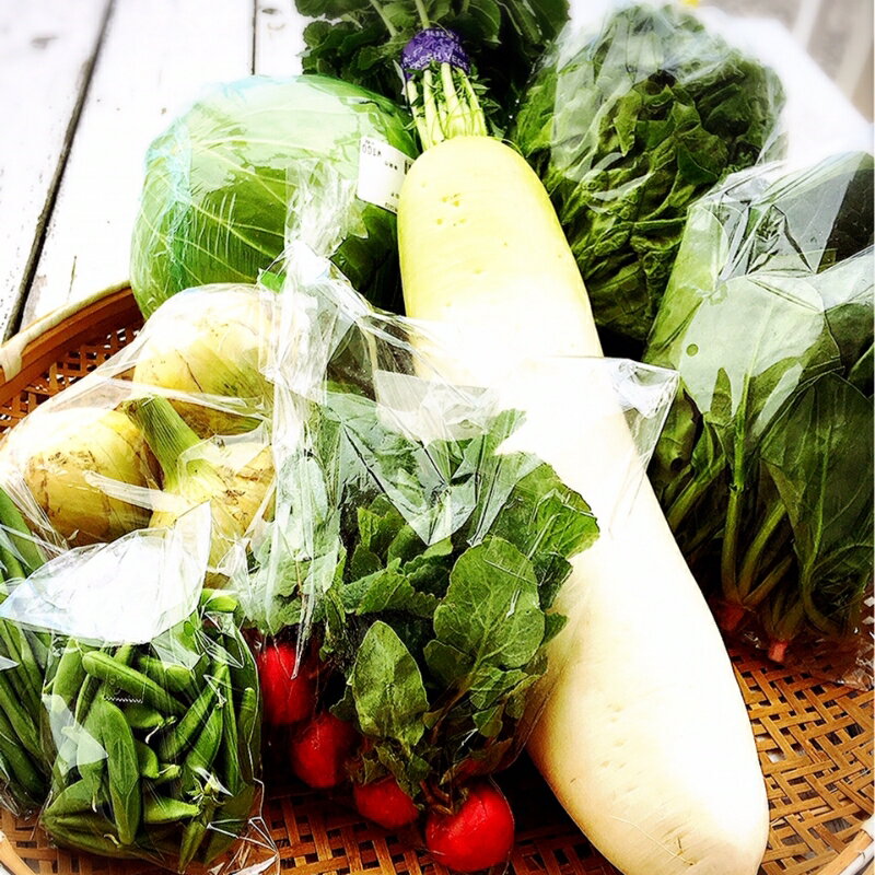 直売所の泉南産旬野菜セット詰め合わせ 100サイズ箱【配送不可地域：沖縄・離島】