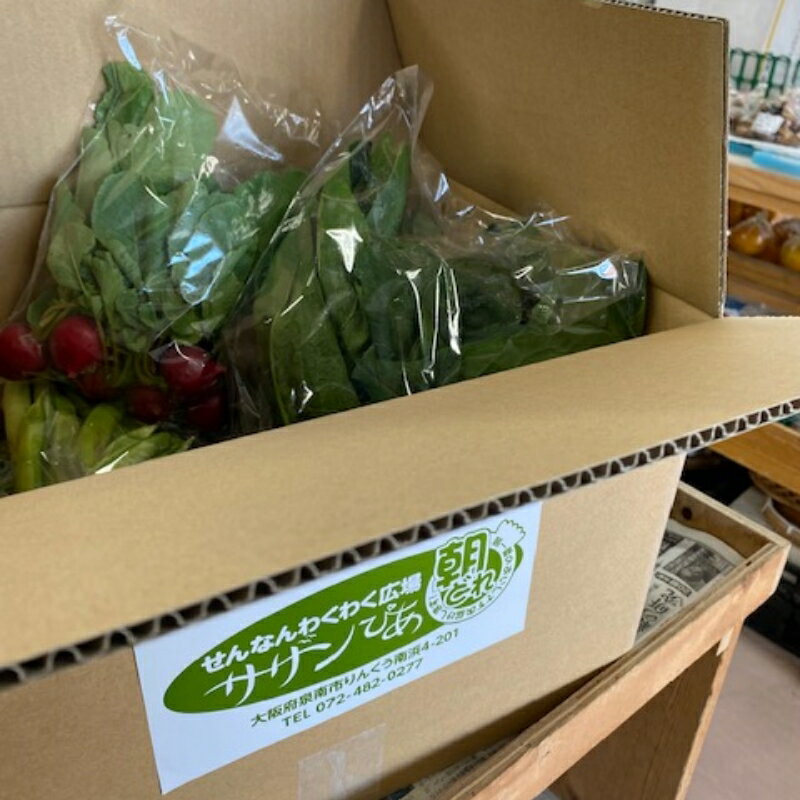 【ふるさと納税】直売所の泉南産旬野菜セット詰め合わせ 100サイズ箱【配送不可地域：沖縄・離島】 - 画像3