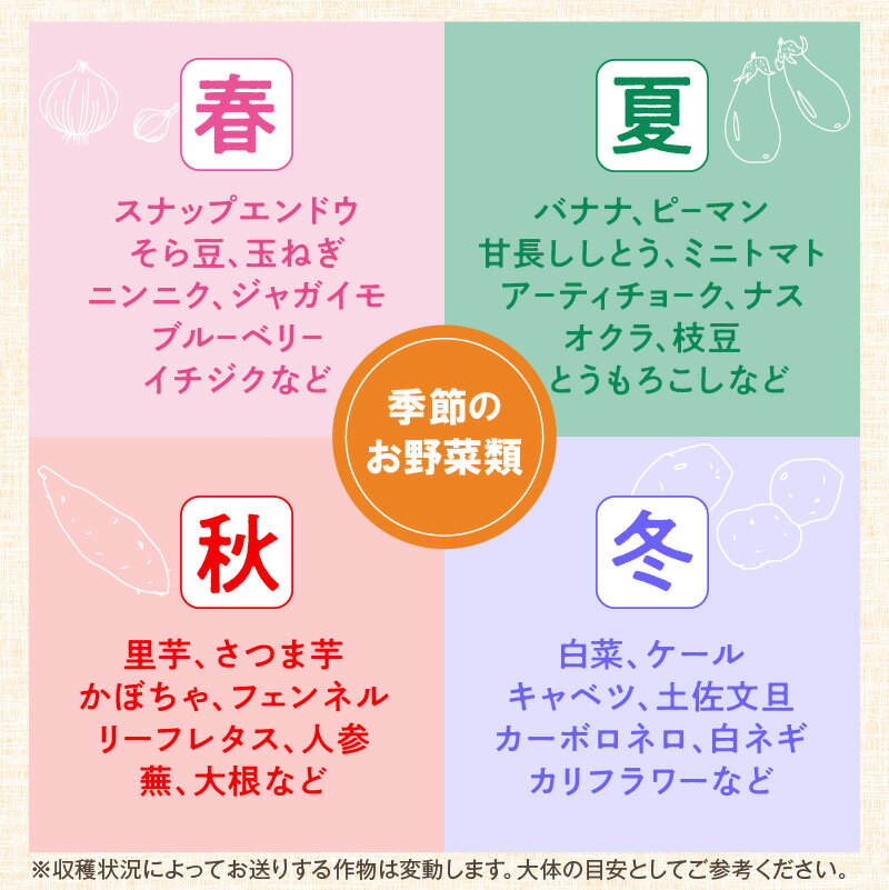 【ふるさと納税】農業姉妹がこだわって栽培！旬の野菜詰め合わせ8種 1年定期便 - 画像3