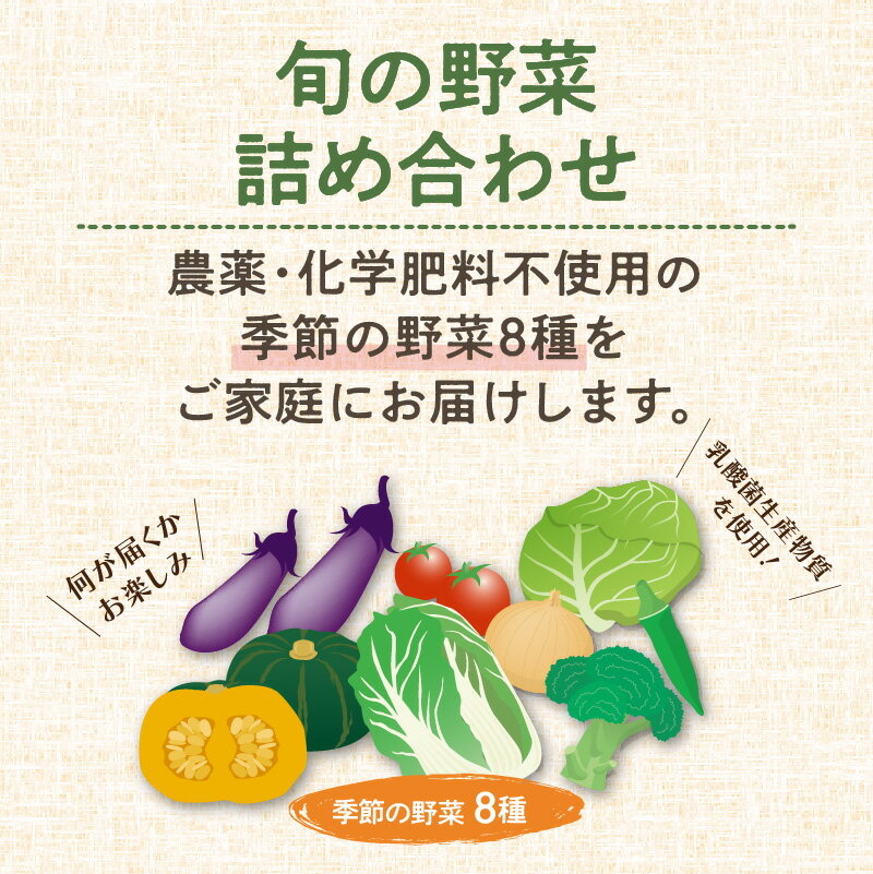 【ふるさと納税】農業姉妹がこだわって栽培！旬の野菜詰め合わせ8種類 - 画像2