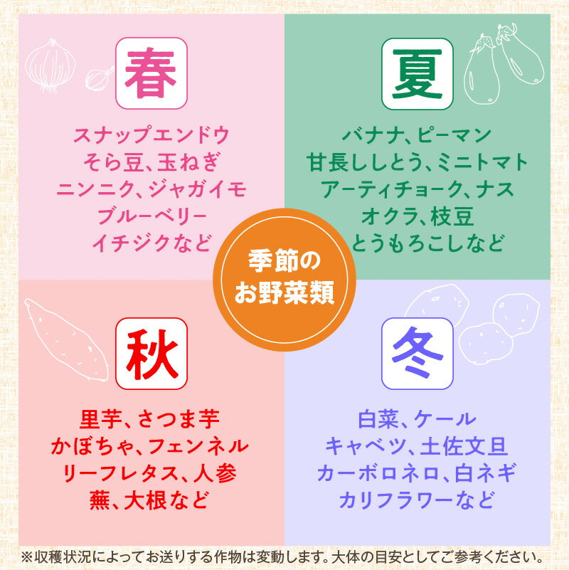 【ふるさと納税】農業姉妹がこだわって栽培！旬の野菜詰め合わせ8種類 - 画像3