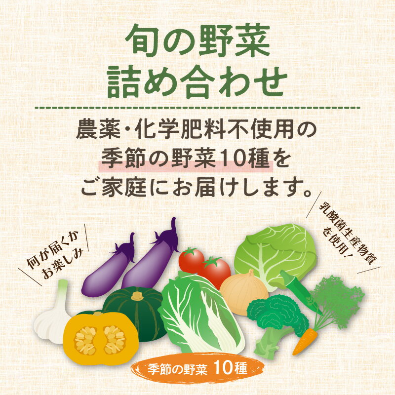 【ふるさと納税】農業姉妹がこだわって栽培！旬の厳選野菜10種 ふるさと納税 野菜 詰合せ セット 季節の野菜 - 画像2