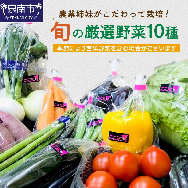 農業姉妹がこだわって栽培！旬の厳選野菜10種 ふるさと納税 野菜 詰合せ セット 季節の野菜