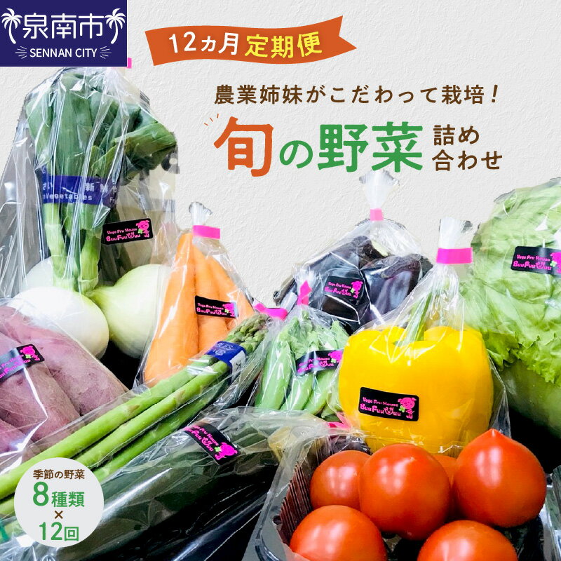 農業姉妹がこだわって栽培！旬の野菜詰め合わせ8種 1年定期便