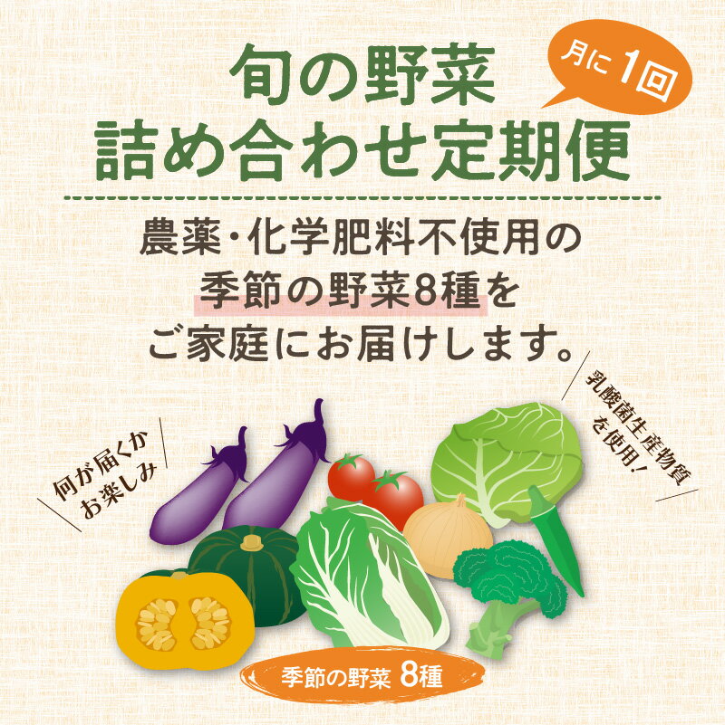 【ふるさと納税】農業姉妹がこだわって栽培！旬の野菜詰め合わせ8種 1年定期便 - 画像2
