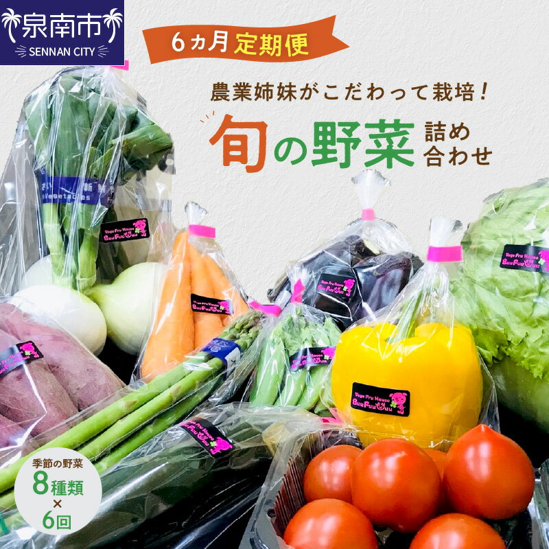 農業姉妹がこだわって栽培！ 旬の野菜の詰め合わせ8種 半年定期便