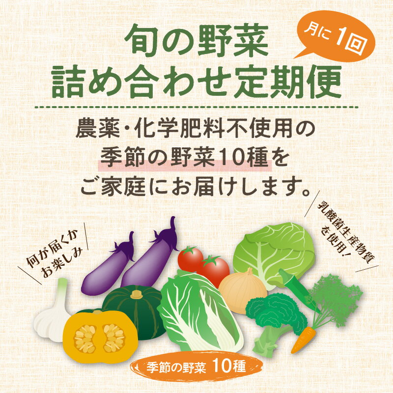 【ふるさと納税】農業姉妹がこだわって栽培！ 旬の厳選野菜10種 半年定期便 - 画像2