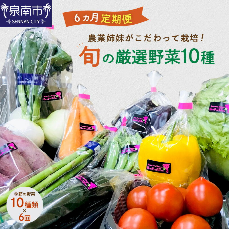 農業姉妹がこだわって栽培！ 旬の厳選野菜10種 半年定期便