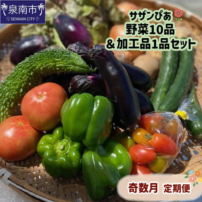 サザンぴあ 野菜10品＆加工品1品セット 奇数月定期便